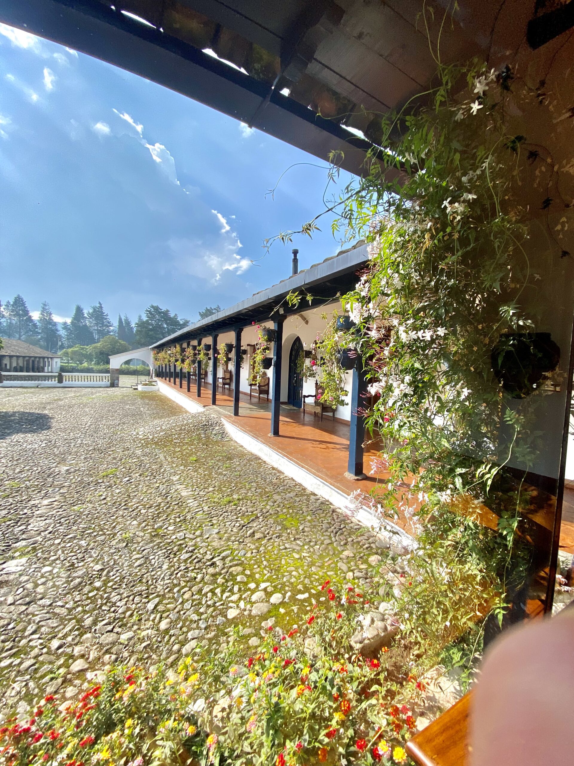 This is a photo of Hacienda Zuleta where you can see part of the hacienda and decorative flowers