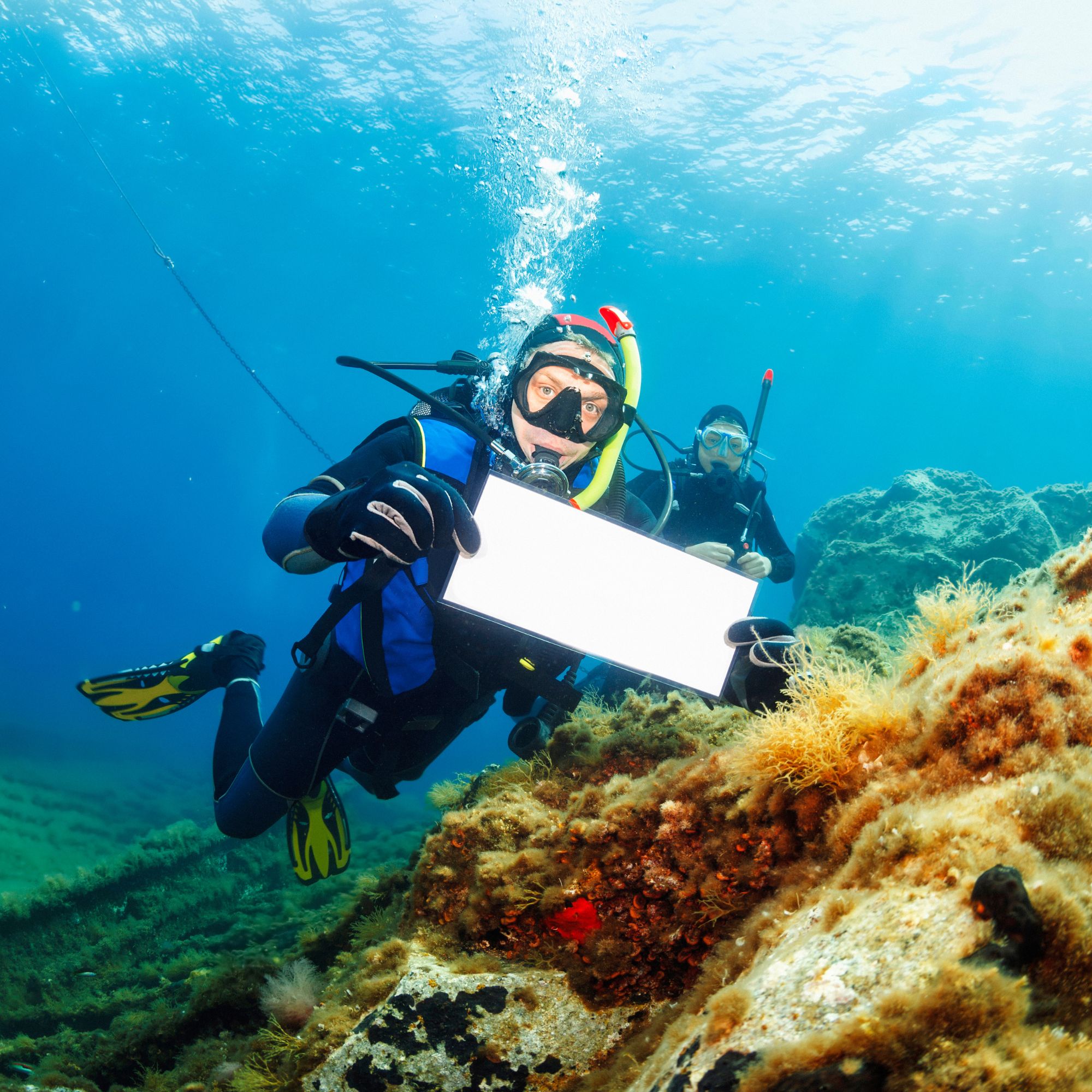 Scuba Steph: Beyond The Headlines - qa2d6wl