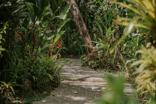 Discover how Costa Rican spices are grown at Villa Vanilla.