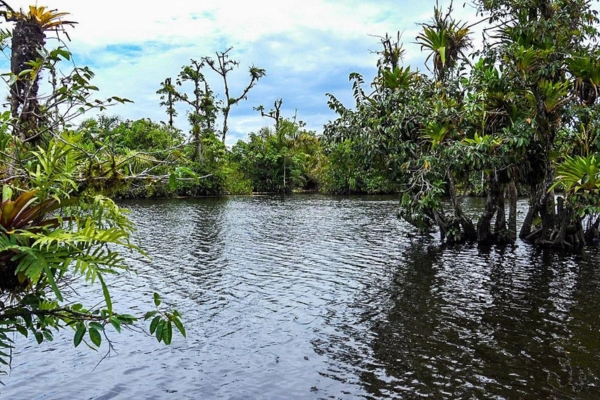 Experience Costa Rica’s Caño Blanco Lagoon, a hidden natural gem.