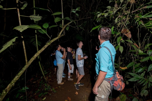 Explore Costa Rica's jungle at night with a guided walk through a private farm near Arenal.