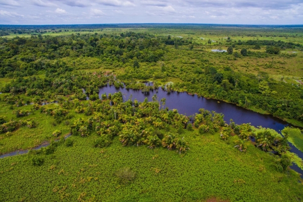 Discover Costa Rica’s untouched nature with a small-group boat tour.