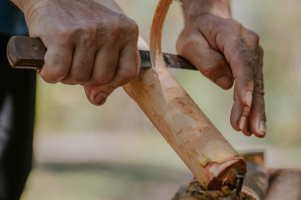 Learn sustainable spice farming at Costa Rica’s Villa Vanilla.