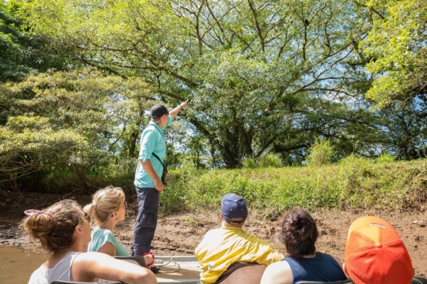 See colorful birds and caimans in Costa Rica’s pristine wetland habitats.