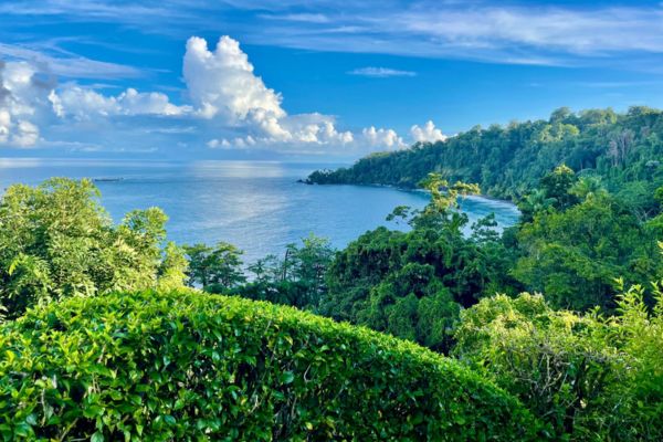 Corcovado Wilderness Lodge delivers a luxurious yet sustainable escape in one of the world’s last true wildernesses