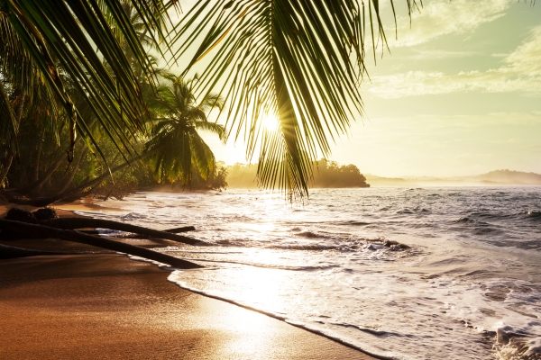 Sunset over tropical beach with palm trees and gentle waves