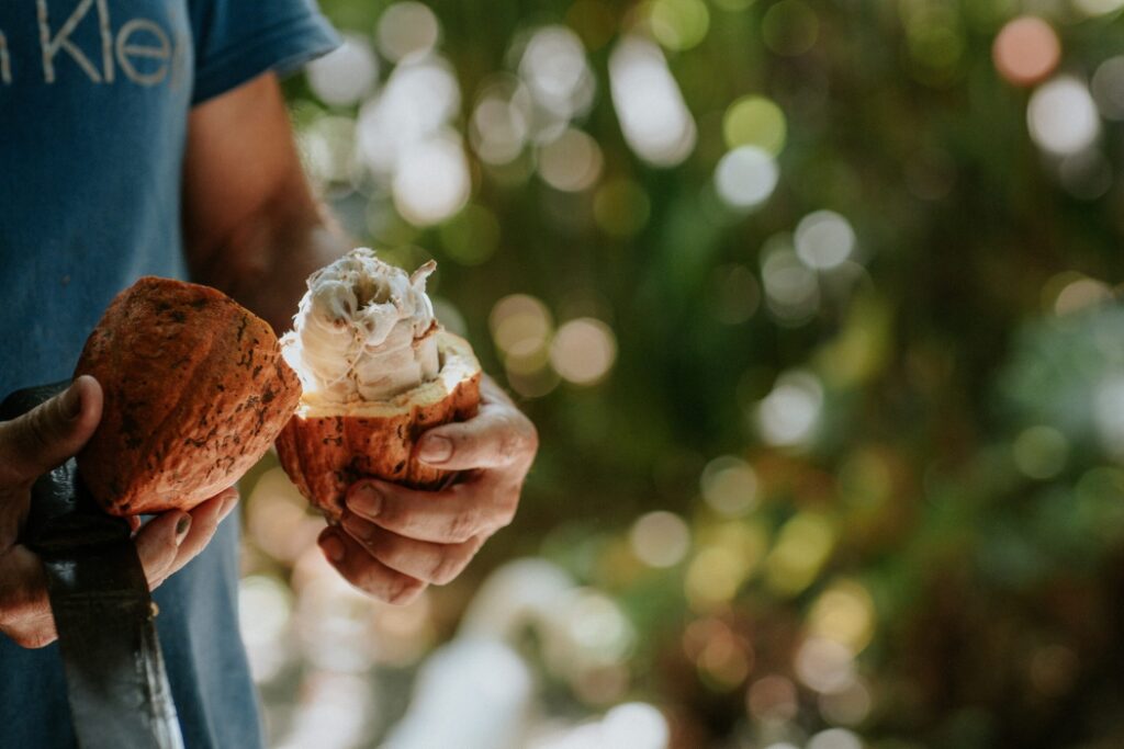 Hands holding fresh coconut shells filled with tropical ice cream against blurred nature background